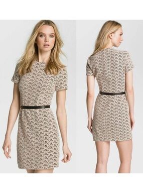 Diane von Furstenberg Cindy Acorn Lace Dress in Stucco 2